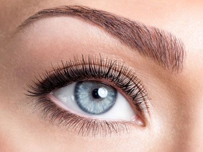 Wimpers en Wenkbrauwen